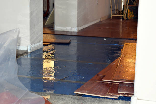 Professional Basement Flood Cleanup technician working in Edwall, WA